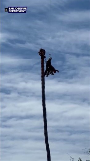 Incredible moment worker is rescued after suffering a medical emergency 20 metres in the air #shorts