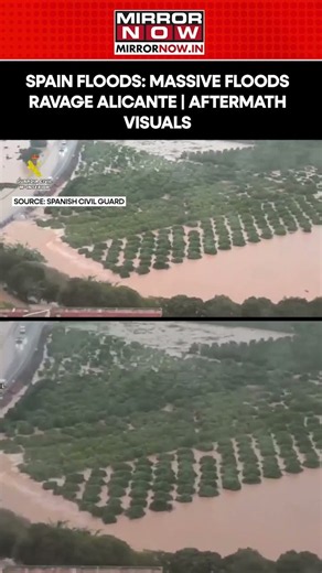 Spain Floods: Massive Deluge Ravages Oliva; Aerials Show Aftermath Visuals Of Alicante #shorts
