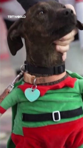 People in Santa Claus costumes cycle through Rome to support sick children