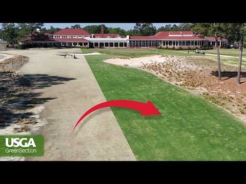 Spring Greenup: A Turfgrass Transformation