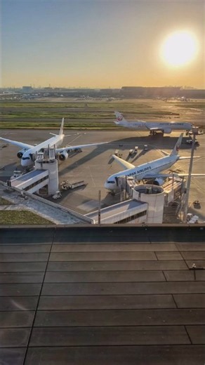 羽田空港第1ターミナル展望デッキで暇潰しに撮りましたm(__)m 2026.10.11