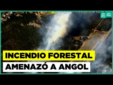 Alerta roja: Incendio forestal preocupó a Angol por su cercanía a sectores urbanos