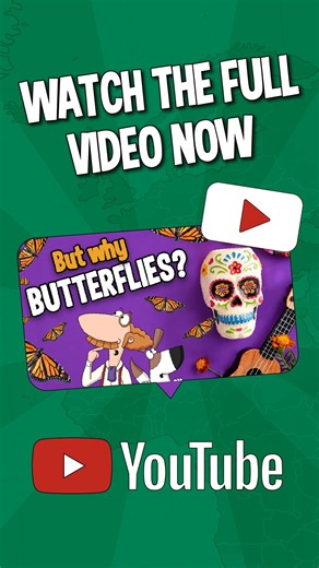 Why Do Millions of Butterflies Arrive in Mexico? 🦋 | Day of the Dead