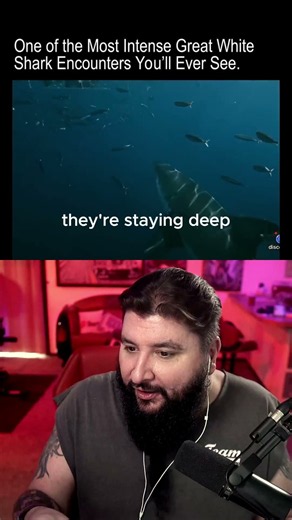 Voluntary Shark Food