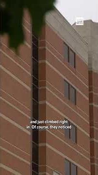 Inmate tries to escape by climbing through Dallas hospital's ceiling, deputies say
