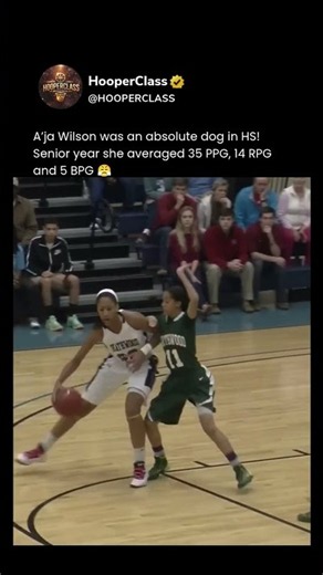 A’ja Wilson was an absolute dog in HS! Senior year she averaged 35 PPG, 14 RPG and 5 BPG 😤
