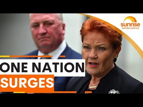 One Nation surges ahead of coalition in polls | Sunrise