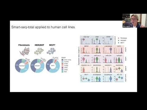 Beyond polyA: Mapping total RNA in single cells