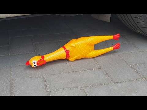 Crushing Crunchy & Soft Things by Car! EXPERIMENT CAR VS + The dog's reaction