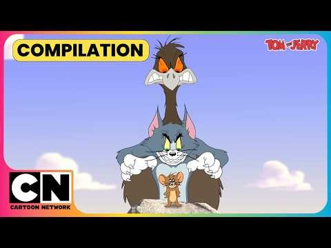 Tom & Jerry’s Wild Adventure!🌿| Tom and Jerry😺| Cat & Mouse Cartoon😁| @cnindia ​