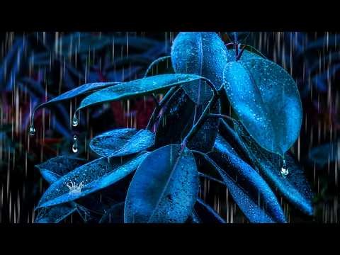 Heavy Rain Noise for Sleeping | Rainforest Sounds for Deep Sleep