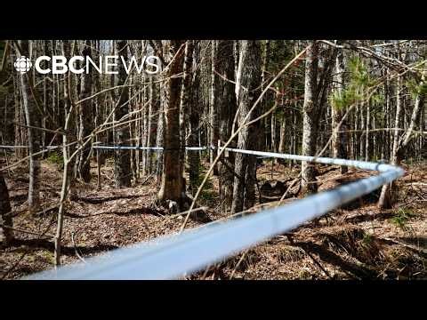 Why a maple syrup farm was told to vacate this land