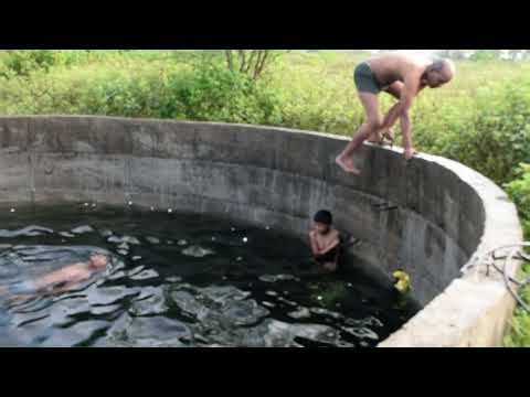 How To Swimming | #Swimming #SwimmerLife #SwimTraining