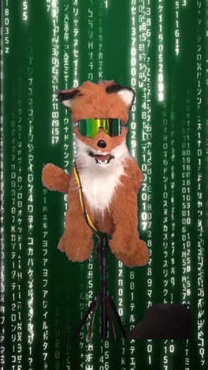 ​Wiggles The Fox Lipsyncs "Prevenge" by TMBG FROM THE MATRIX Animatronic fox