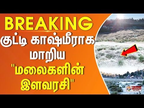 குட்டி காஷ்மீராக மாறிய "மலைகளின் இளவரசி" | Kodaikanal | Mist | Heavy Snow