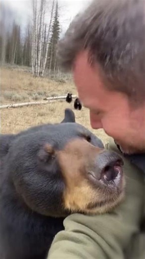 Bear Brought Her Pups to Show Her Savior Dad 💖