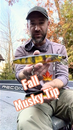 IMPROVE Your Fall MUSKY Fishing Minnow Baits (Simple Tip) #muskyfishing #musky #muskie #fishing