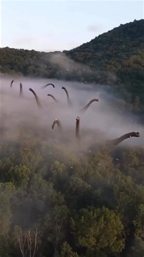 The Amazon Rainforest's Darkest Secrets Will Leave You Speechless! 🌿😱