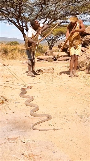 They Had Their Bows Ready… But Couldn’t Get Any Closer! 😂🏹🐍 | African Bush Life