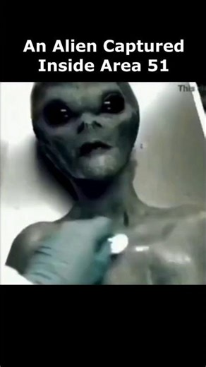Alien Captured at Area 51…👽