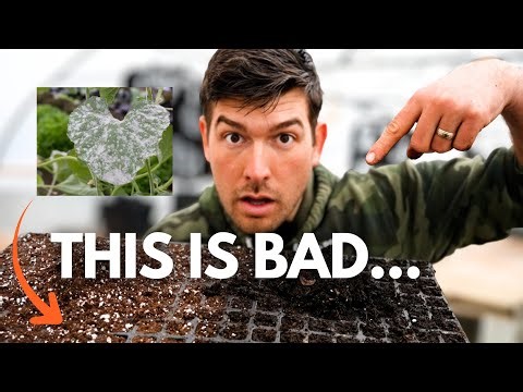 You ARE Getting SCAMMED With This SOIL!