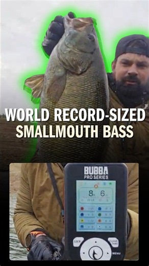 Angler Catches World Record-Sized Smallmouth Bass on Homemade Lure