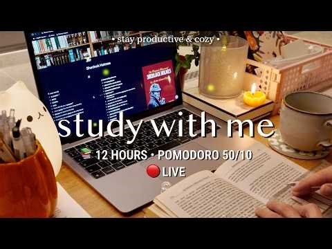 Challenge | 12 HR STUDY WITH ME • Pomodoro 50/10 | Relaxing Fireplace Sound