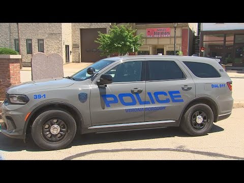 Verona police leaning on neighbors to help fight crime with new security camera program