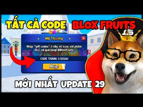 Tổng Hợp 20 CODE X2 Kinh Nghiệm Và RESET Chỉ Số STAT Mới Nhất Tháng 1/2026 Trong Blox Fruit| Roblox
