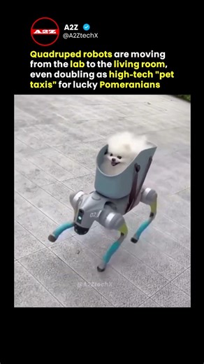 Is This the Future of Dog Walking?