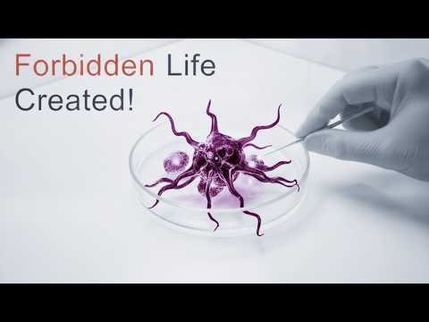 Scientists Are Creating Life That Nature Never Used Ever..