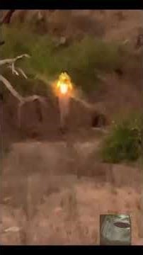 Extraño ser de luz o alien o un hada es captado en un bosque