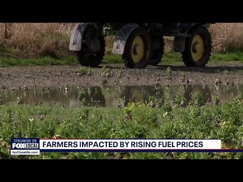 Rising fuel costs hit Washington farmers amid global tensions | FOX 13 Seattle