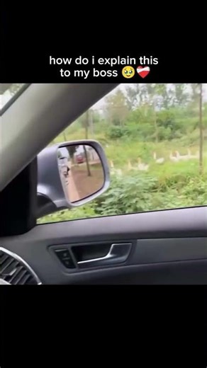 how do i explain this to my boss 🥹❤️