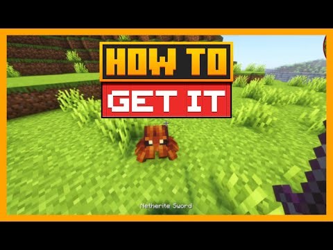 HOW TO TAME JUMPING SPIDER in MINECRAFT with Critters and Companions