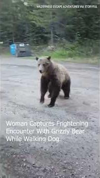 Woman Captures Frighteningly Close Encounter With Grizzly Bear While Walking Her Dog