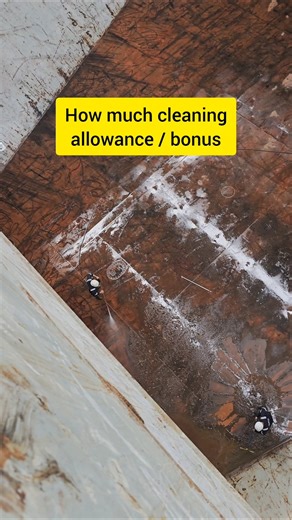 Cargo hold cleaning bonus 😊 #ship #sailor #kappalraja