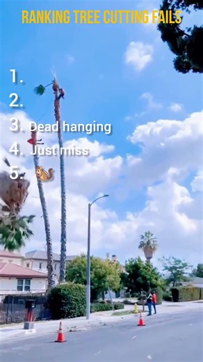When tree cutting doesn't go as planned! 😆 #ranking #fails #trending #viral #compilation