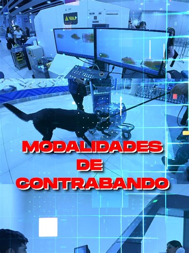 Inteligencia aduanera 🧠 tecnología de última generación 🩻 = #SunatEnAcción 🇵🇪. Conoce el estricto control aduanero que nos permite neutralizar las distintas modalidades de contrabando en el @aeropuerto_jorgechavez 🛫. #FronterasSeguras #Perú #aduana 🛃 @MEF @PCMPeru @Presidencia del Perú 🇵🇪 @Gobierno del Perú 🇵🇪