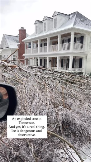 Kate Battistelli on Instagram: "Ice is hazardous. For those who don’t believe in exploding trees, here’s an explanation: An exploded tree is a tree that splits or bursts due to extreme conditions, such as very cold temperatures or lightning strikes. In cold weather, the sap inside the tree can freeze and expand, causing the bark to crack and produce a loud noise, while lightning can heat the sap rapidly, creating steam pressure that causes the trunk to burst. Also known as a frost crack. Be very
