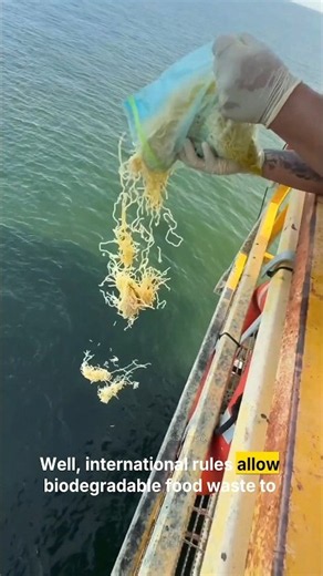 Why Do Ships Dump Food Into the Ocean? 🌊