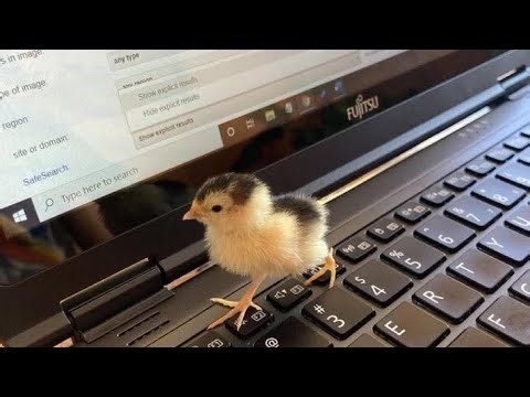 answers team 5 - What is international arbitration?