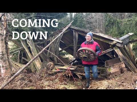 Taking down a 100-year-old shed… one plank at a time (#213)