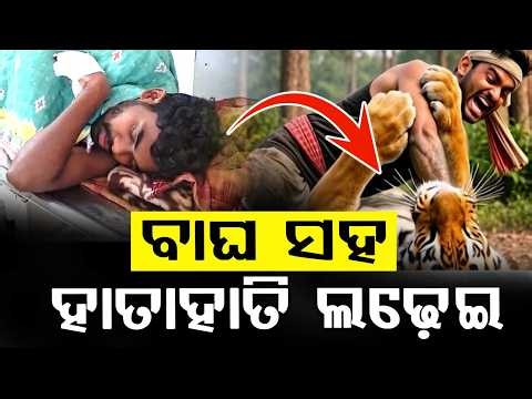 Tiger Attack In Balasore: Nilagiri Youth Sunil Singh Battles Wild Animal To Save Life | Argus News