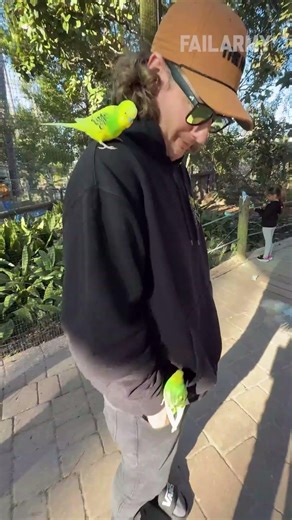 Instant regret caught live 😂