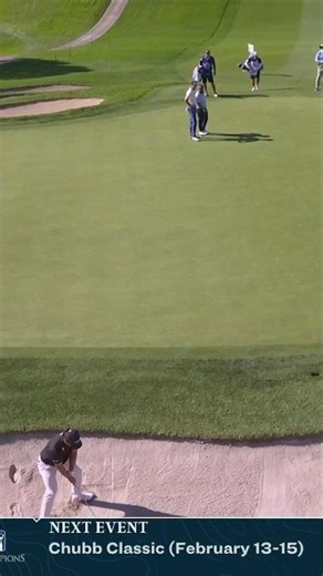 Saved by the stick🔔