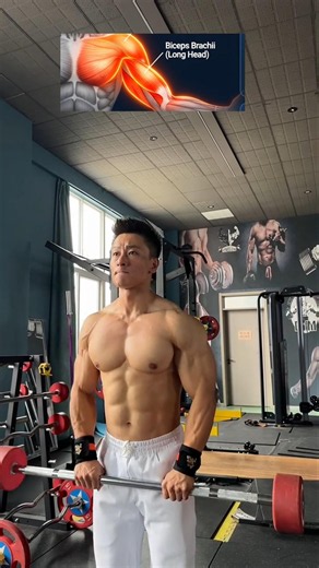Bigger Arms in 7 Days? Try These 3 Exercises 💪 #biceps #triceps #arms #shorts #gymworkout