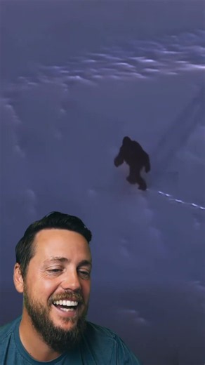 bigfoot in antarctica?!