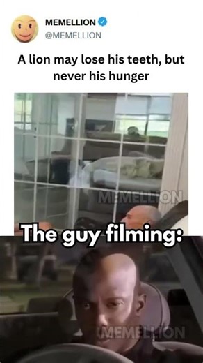 What is bro doing 💀