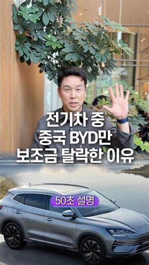 전기차 중 중국 BYD만 탈락한 이유… 50초 안에 설명하기